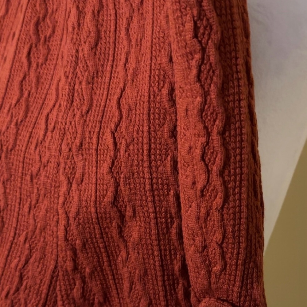 JLUXLABEL Rust Knit Crop Top - Picture 7 of 7